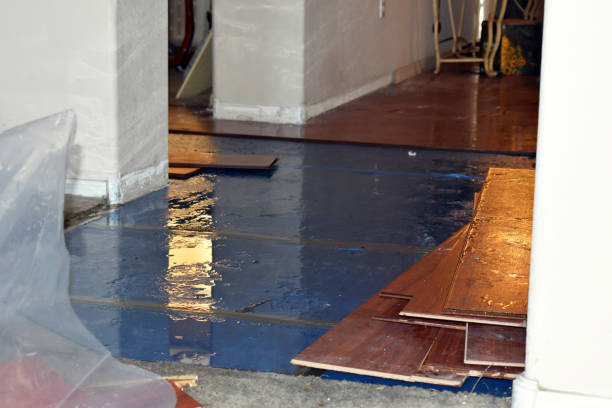 Professional Water Damage Restoration technician working in Ryde, CA